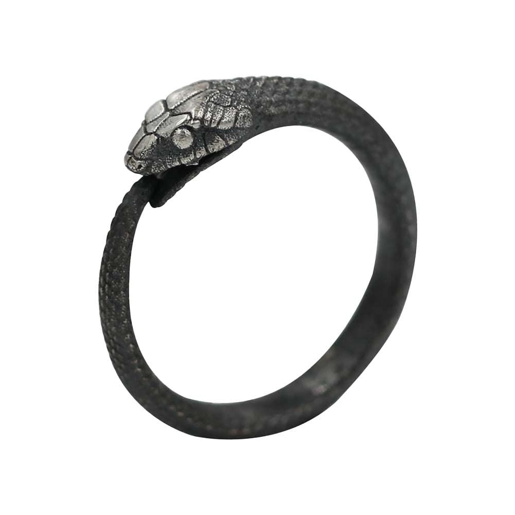 EHOTER Anillo de serpiente de plata de ley ajustable, anillo de serpiente nórdico vikingo, anillo de Ouroboros para hombres, joyería gótica y pagana nórdica, regalo personalizado para niños, Plástico
