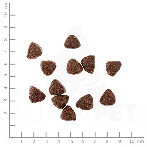 Wildes Land - Pferd mit Kartoffel - Classic Adult Trockenfutter für Hunde - 2X 12kg
