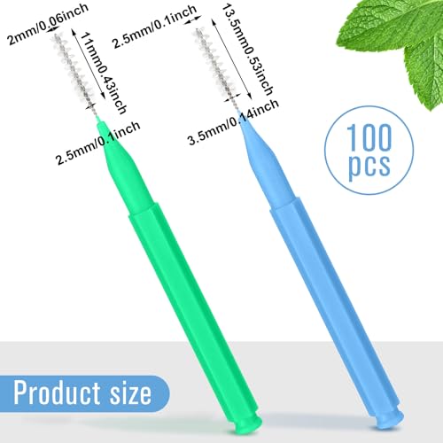 Image of Patelai 100 Pieces Braces Dental Brush for Cleaner Interdental Toothpick Dental Tooth Flossing Head Oral Hygiene Flosser Toothpick Cleaners Tooth Tool(Blue, Green,Elegant Size)