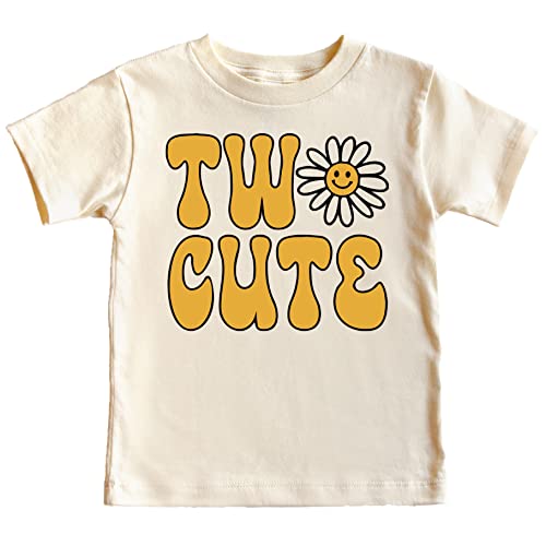 Two Cute Daisy Birthday Shirt for Baby and Toddler Girls for Birthday Party Gift Outfit