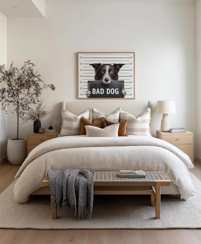 Image of aj decor Border Collie Mugshot Wall Art Print Poster, Dog Pet Lover Picture Painting Artwork Bedroom Living Room Office Dining Room 150D (Border Collie Mugshot, 11 inch W x 14 inch L, Wood Frame)