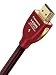 AudioQuest Cinnamon HDMI - 3M (10 ft) w/ethernet