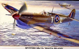 Spitfire MK.VB Île de Malte Hasegawa 09405 Maquette Avion Militaire 1/48