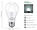 BAYSHE 12V LED Light Bulb 60Watt Equivalen E26 7W 630Lm 12 Volt Low Voltage Lights AC/DC 11-18V A19-12volt RV Marine Boat Landscape Lighting-6 Pack(6000K Daylight White)