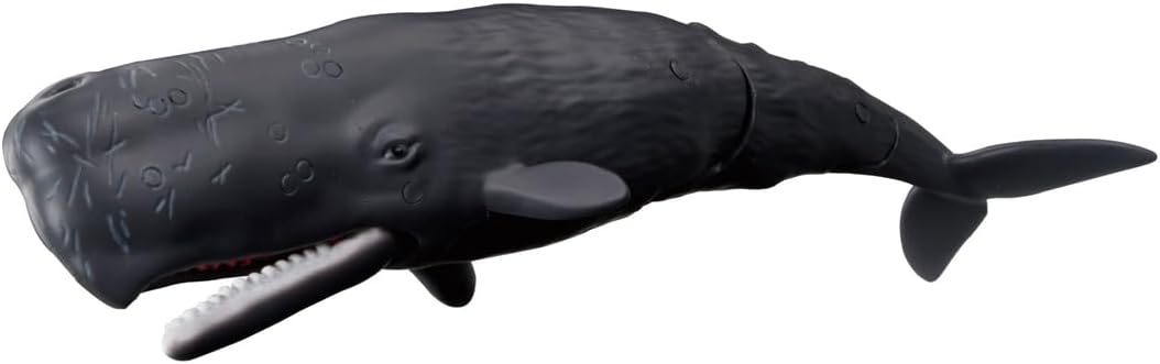 Takara Tomy Ania AL-34 Whale Water Floating Ver. Animal Dinosaur Toy Ages 3 and Up