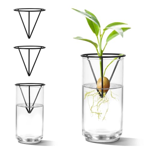 Qiuruoo 4Pcs Avocado Seed Starter vase Holders That can be Used as Propagation Kits for Plant Propagation vases not only for Avocados but Also for Other Similar Plants (Carrots Sweet Potatoes etc)