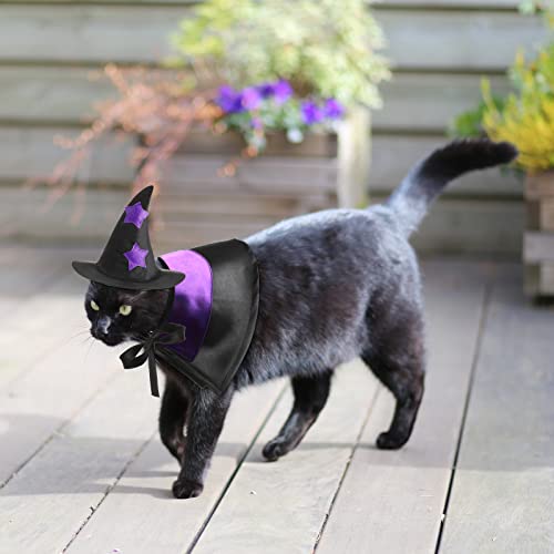 Disfraz Halloween para mascotas pequeño conjunto 5 piezas miniatura 4