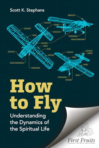 How to Fly: Understanding the Dynamics of the Spiritual Life