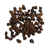 Es adecuado para plantar en casa yardas, patios, balcones, patios, jardines, oficinas y parques.