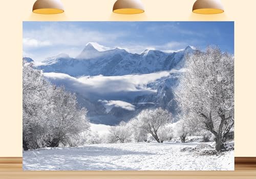 Iceberg Snow Scenery Backdrop Frozen Glacier Soiree Landscape Photography Background