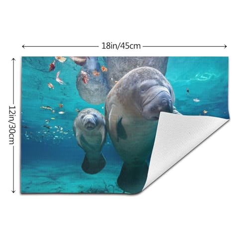 Set de table loutre de mer lavable PVC thermorésistant 30x45 - 4