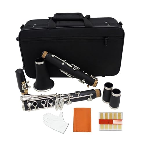 klarnet 17 instrumentów muzycznych z płaskim klarnetem sopranowym Bb