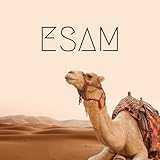  Esam