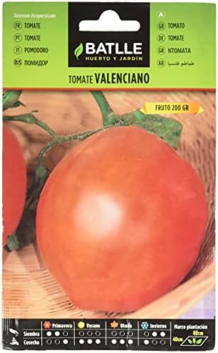 VALENCIANO Tomato