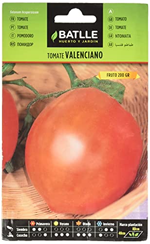 Semillas Batlle Tomate VALENCIANO