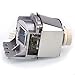 Huaute LAMP-087 Replacement Projector Lamp with Housing for Infocus SP-LAMP-087 IN120A IN120STA IN2120A IN122A IN124A IN124STA IN126A IN126STA IN2124A IN2126A Projectors