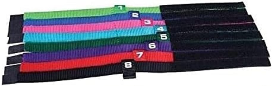 Puppy ID Collar Kits for Dog Litters 8 Piece or 16 Piece Whelping Breeder Vet Shelter Rescue 3 (Toy - 2 Sets - 16 Collars)
