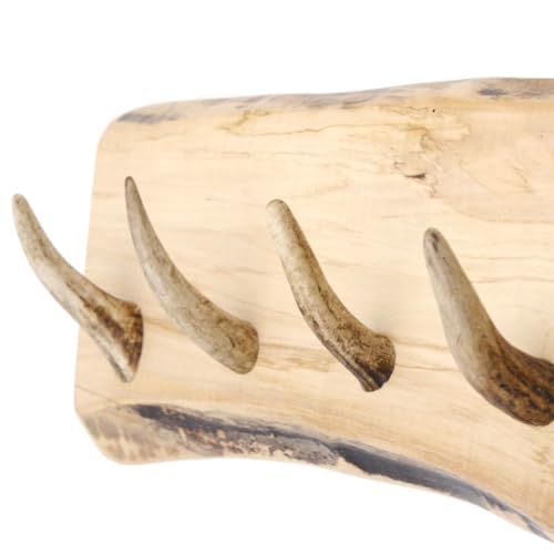 GTK - Geweihe & Trophäen KRUMHOLZ Geweih Garderobe mit 6 Haken aus Rothirschspitzen auf Holzbrett Rehgeweih Wandgarderobe Unikat 27.8.89