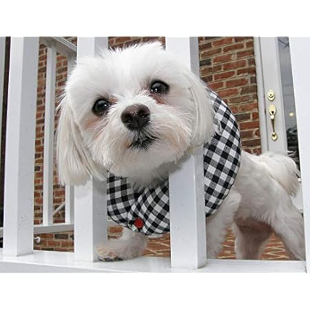 keep small dogs from going through fence