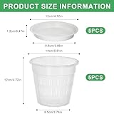 Dwitkul B0GDTG3125 lato 2