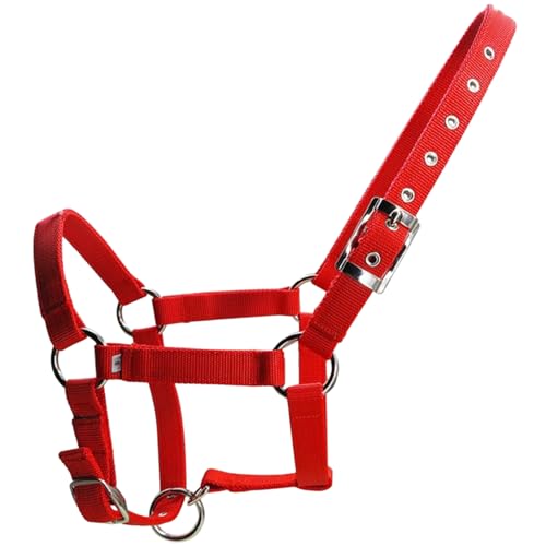 Cabestro para caballos resistente con correas de PP gruesas de 25mm 7