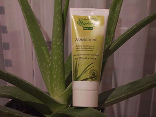 Aloe Vera Gold Zahnpasta, 75 ml