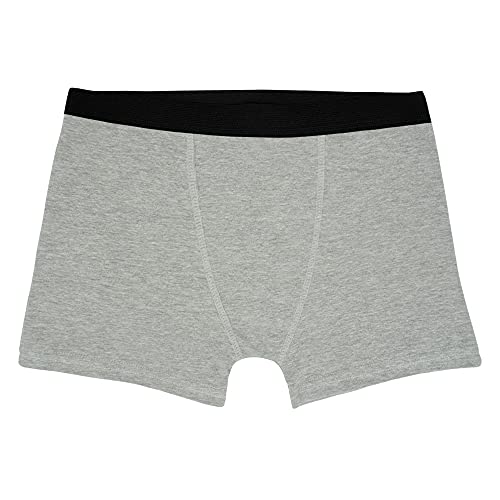 Kit com 8 Cuecas Boxer Sortidas New Edition - Polo Match (G)