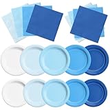 CMUSKO 60Pcs Blue Plates and Napkins-Light Blue Party Supplies Gradient Blue Disposable Tableware for Birthday,Baby Shower,Wedding