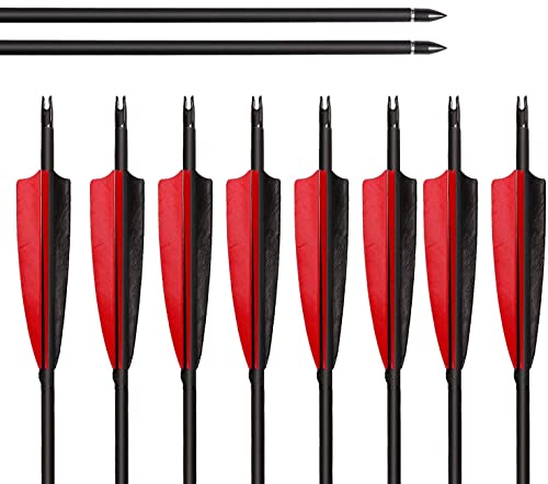 ARCHERY SHARLY 31" Carbon Fiber Arrows Targeting Practice Arrows,5" Black & Red Natural Feather Fletching and Replacement Screw-in Tips for Recurve & Compound Bow,Traditional Long Bow (12 Pack)