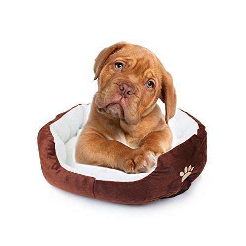 SAFLYSE - Cuccia per Animale Domestico, per Cane o Gatto caffè