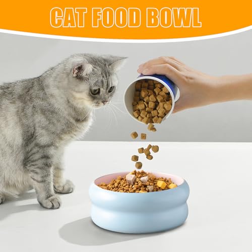 Gamelle à eau en céramique pour chat et chaton au design épuré
