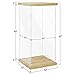 BenchPro Clear Acrylic Display Case for Trophy, Collectibles, Assemble Cube Display Box Stand Dust Proof Protection Showcase for Action Figures Toys. (1
