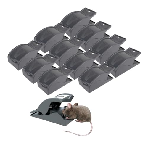 PROTECT HOME Mausefallen Easy Catch, Profi-Schlagfallen zur Mäusebekämpfung für Haus und Garten, 12 Stück