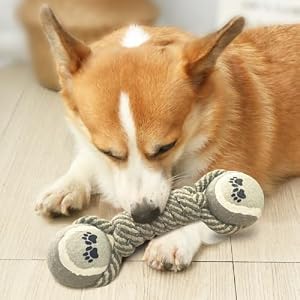 Dog chew Toy, Cotton Rope Tennis Dumbbell Dog Toy, Dog Knot Toy Ball, Interactive Toy with Rope Dog Ball, Very Suitable for Dog Teeth Grinding and Interactive Tennis Dog chew Toy, Cotton Rope Tennis Dumbbell Dog Toy, Dog Knot Toy Ball, Interactive Toy with Rope Dog Ball, Very Suitable for Dog Teeth Grinding and Interactive Tennis