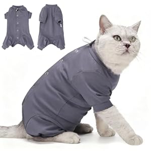 Dotoner Cat Recovery Suit After Surgery Spay Recovery Suit for Female Cats Soft Protective Clothing E-Collar Alternative for Wound Care Post Surgery Apparel(Grey-S)