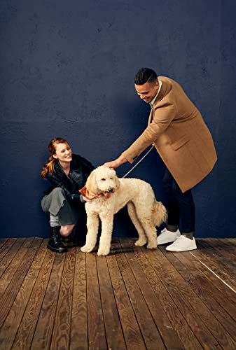 Goldtoe Men's Mild Compression Over The Calf Socks, Multipairs, Denim/Khaki Heather/Black Navy (3-Pairs), Large #TOP4