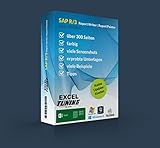 SAP R/3 Report-Painter/Report-Writer