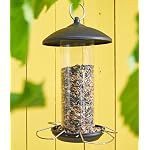 Dehner Natura Premium Wildvogelfutter, Streufutter, Ganzjahresfutter proteinreich / energiereich, hochwertiges Vogelfutter für Wildvögel, 2.5 kg – Bild 2