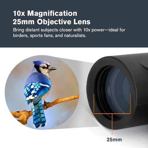 Celestron Outland X 10x25 Compact Binoculars for Hiking & Travel - image 3
