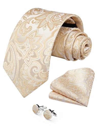 Image of HISDERN Ties for Men Paisley Tie and Pocket Square Cufflinks Set Formal Classic Floral Necktie Handkerchief Wedding Party