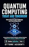 QUANTUM COMPUTING TODAY AND TOMORROW: State of the Art, Open Challenges, and Future. A Volume for Experts, Academics, and Future Technicians of the ... ... and Supercomputing Era (LabTecEng Book 5)