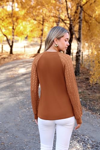 Image of HOTOUCH Women's Lace Long Sleeve Spring Dressy Casual Business Work Trendy Shirts