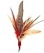 Da Wild Thing Feather Teaser Wand and Replacement Lure by Go Cat
