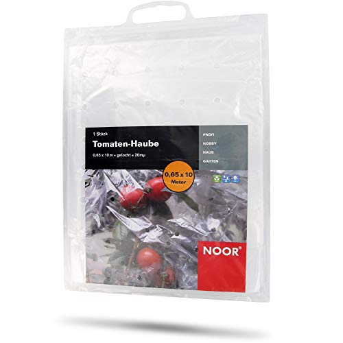 Noor Bâche de Protection pour tomates perforée - Film Transparent 65 cm x 10 m - Film de Protection pour Plants de tomates Contre la Pluie - Protection des tomates...