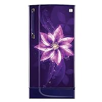 Godrej 190 L 2 Star Direct-Cool Single Door Refrigerator (RD EDGE 205B 23 TAF FI BL , Flower In Flower Blue), 118.4 x 57.6 x 62.3