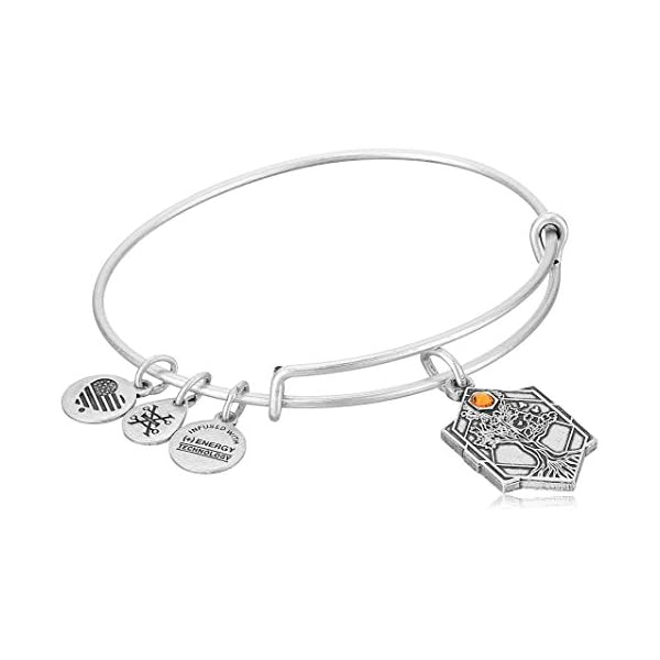 Alex and Ani Path of Symbols Expandable Bangle for Women, Tree of Life Charm, Rafaelian Silver Finish, 2 to 3.5 in