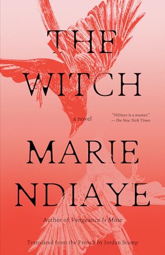 The Witch: A Novel
