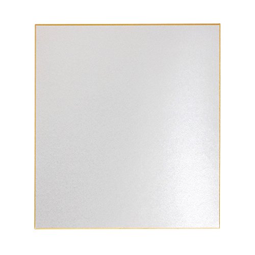 エヒメ紙工 色紙 銀張 ES2S-02 242×272mm 2枚入