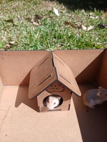 Casinha Para Hamster Porquinho Da Índia Rato Twister