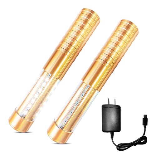 Bottle Service Lights Bottle Sparklers Rechargeable Bottle Girl Lights 2 Pieces Bottle Service for Bar Nightclub Concert Birthday Wedding Party Outdoors Strobe Baton